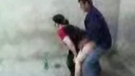 Eine halb Fledermaus Dame Liebe whatsapp sex kostenlos zu einem Mann. Er war zufrieden mit großen Titten und sie ist bereit, ihren großen Schwanz zwischen ihnen zu reiben.