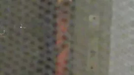 Schwierig. Wir lagen auf der Couch und der kostenloser geiler sex Mann saß hinter dem Mädchen.